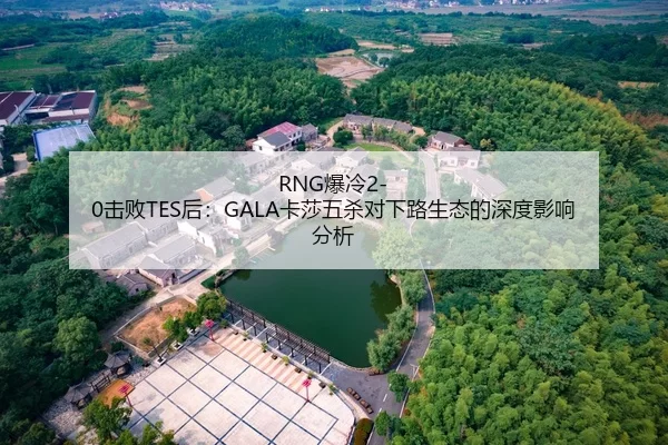 RNG爆冷2-0击败TES后：GALA卡莎五杀对下路生态的深度影响分析