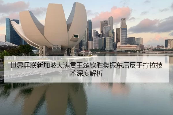 世界乒联新加坡大满贯王楚钦胜樊振东后反手拧拉技术深度解析